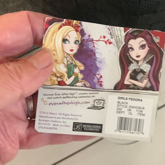 Black Embroidered Fedora   - Picture 4 of 6